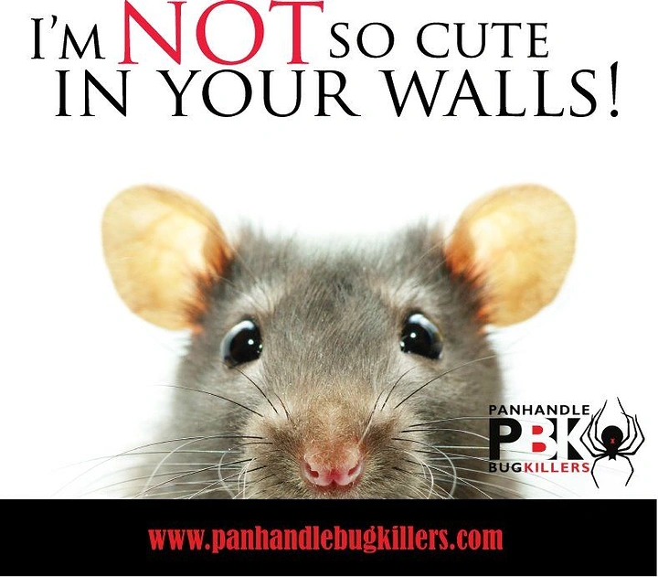 Pest Control creative ad: Cute mouse with 'not so cute' witty copy