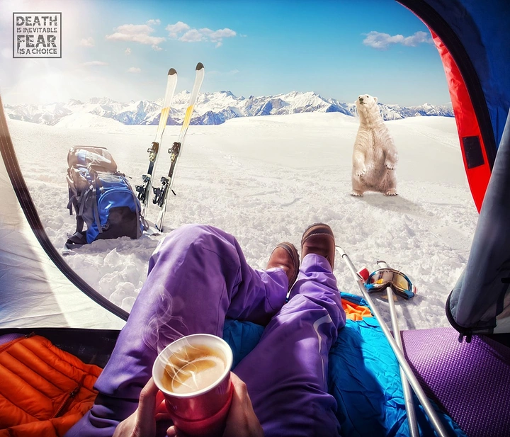 Adventure Sports & Trekking creative ad: Unexpected ski scene with polar bear