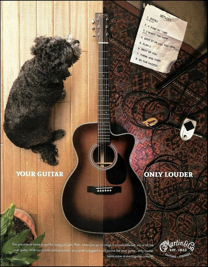 Musical Instrument Stores creative ad: Acoustic guitar surrounded by a dog, setlist, cables, and music gear