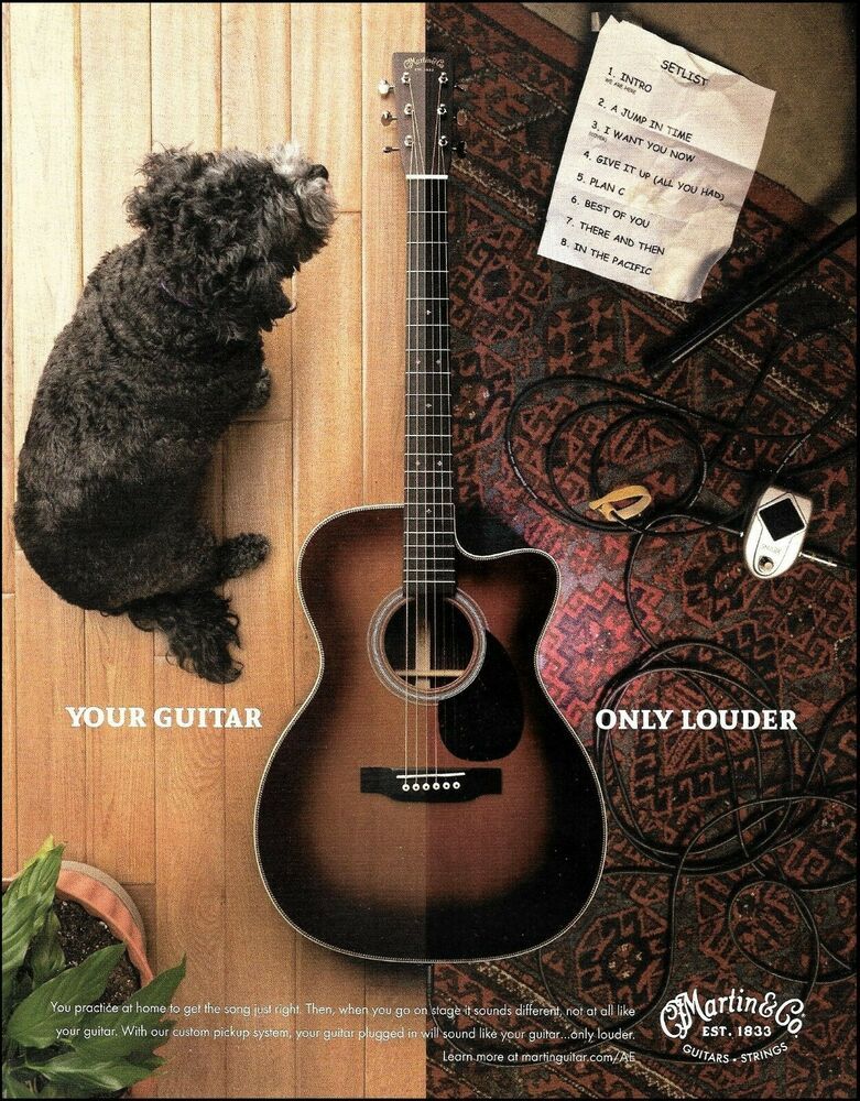 Poster: Acoustic guitar surrounded by a dog, setlist, cables, and music gear