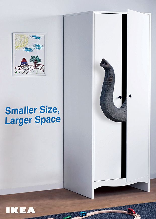 Poster: Elephant trunk poking out of a slim white wardrobe