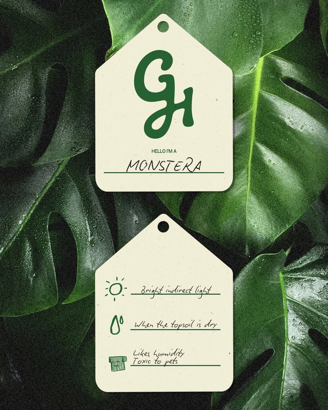 Carousel: Groovy wordmark flowing from hand-drawn arms holding phone and coffee cup, slide 4