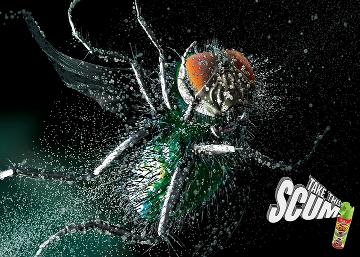 Pest Control creative ad: Fly shattering under spray, 'Take the Scum'