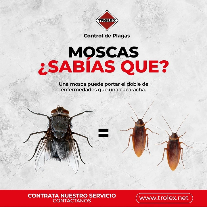 Pest Control creative ad: One fly equals two cockroaches equation