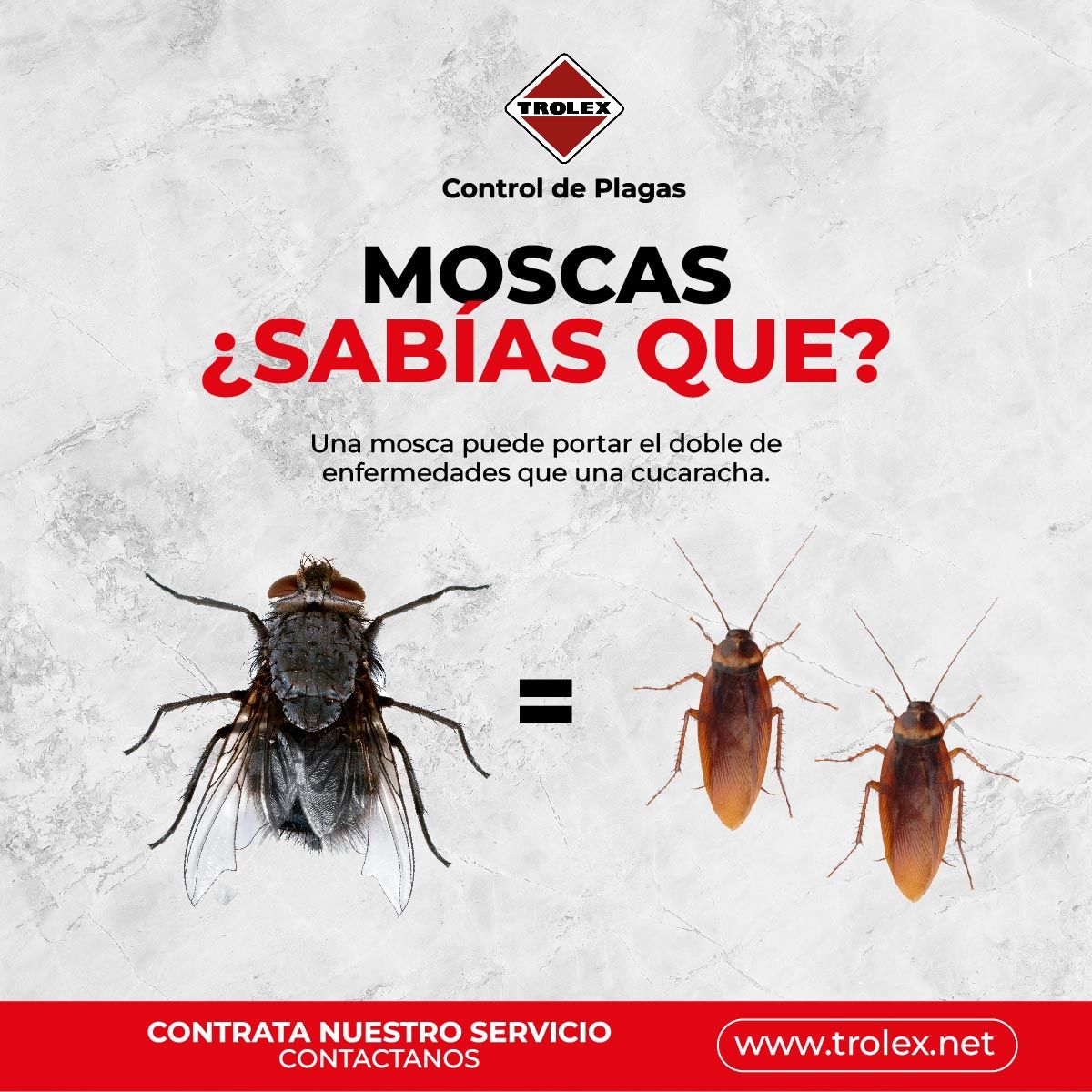 Instagram post: One fly equals two cockroaches equation