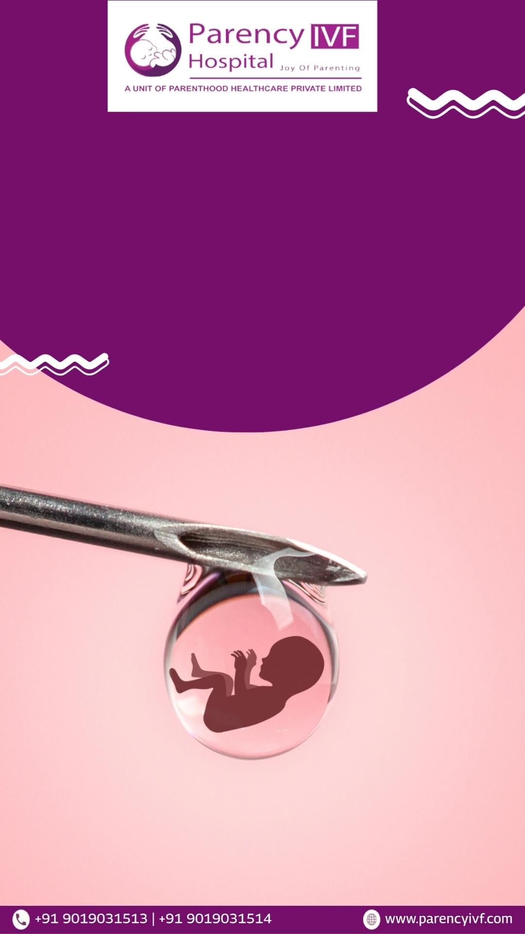 Story: Embryo held in micropipette, minimal and bold