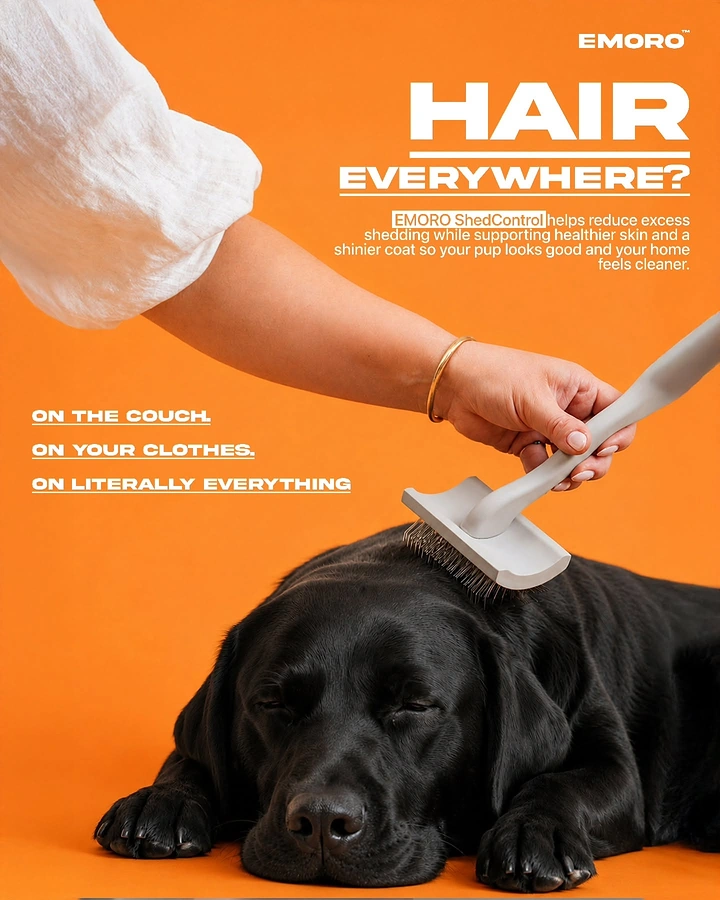 Pet Grooming creative ad: Witty 'hair everywhere' copy, bold orange ad