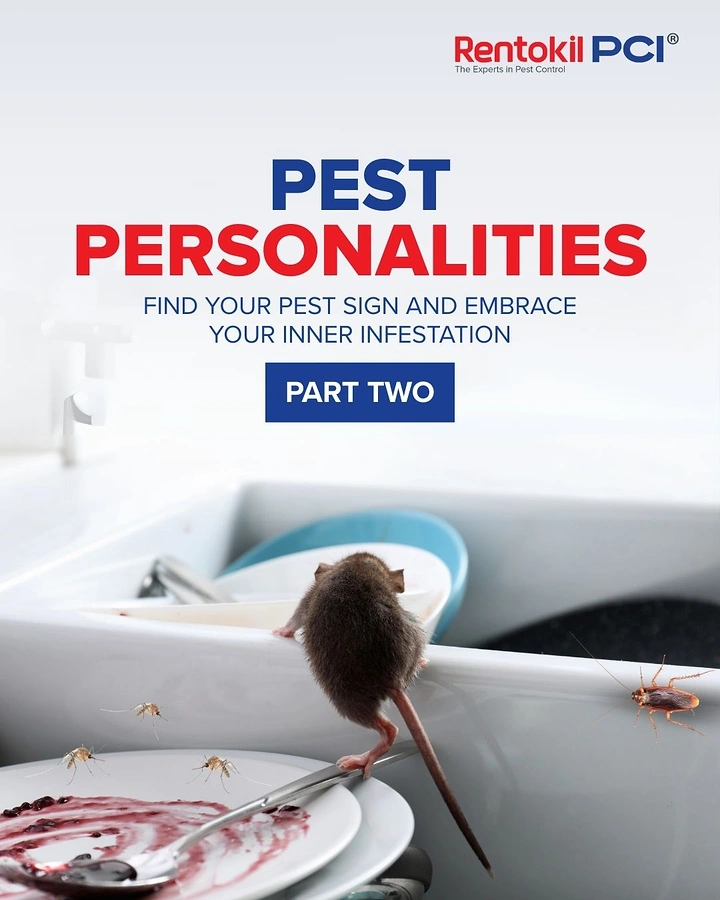 Pest Control creative ad: Pest Personalities zodiac-style witty series