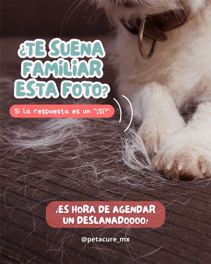 Pet Grooming creative ad: Relatable shed-fur photo prompts deshedding booking