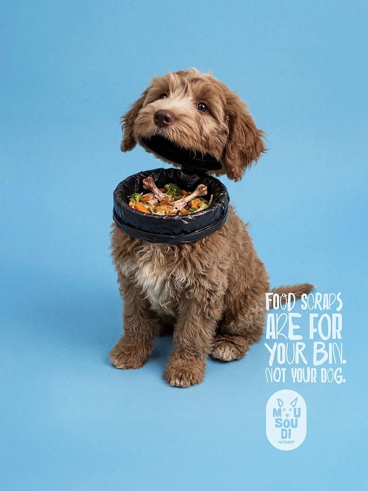 Pets creative ad: Puppy wearing a trash-bin cone full of food scraps