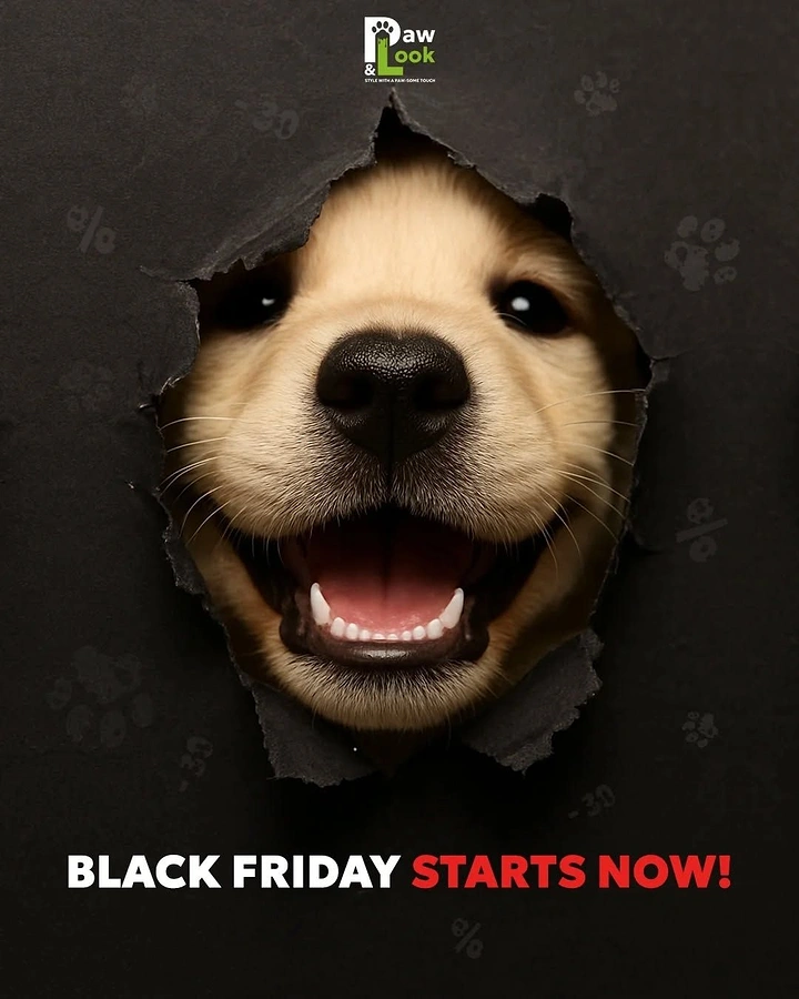Black Friday creative ad: Smiling golden puppy face bursting through torn black paper
