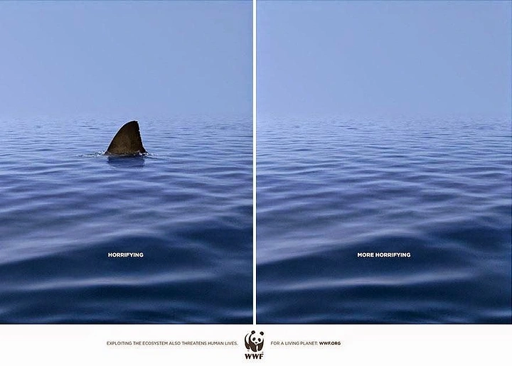 Nonprofit & Social Cause creative ad: Ocean with shark fin versus empty ocean