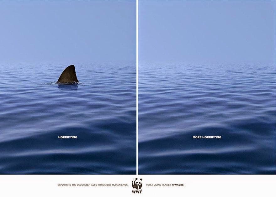 Banner: Ocean with shark fin versus empty ocean