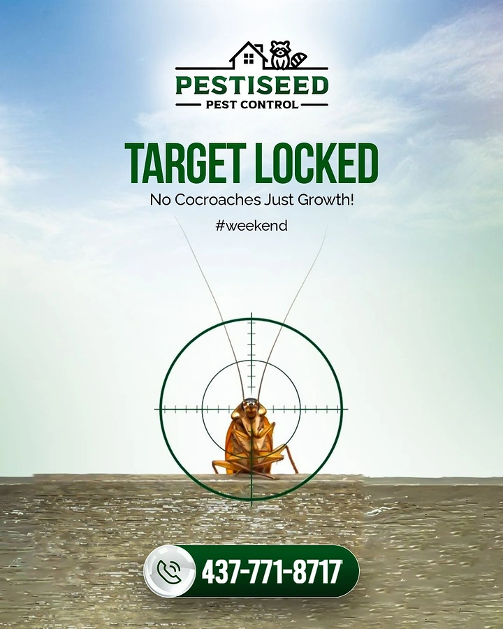 Pest Control creative ad: Cockroach in crosshair, 'Target Locked'