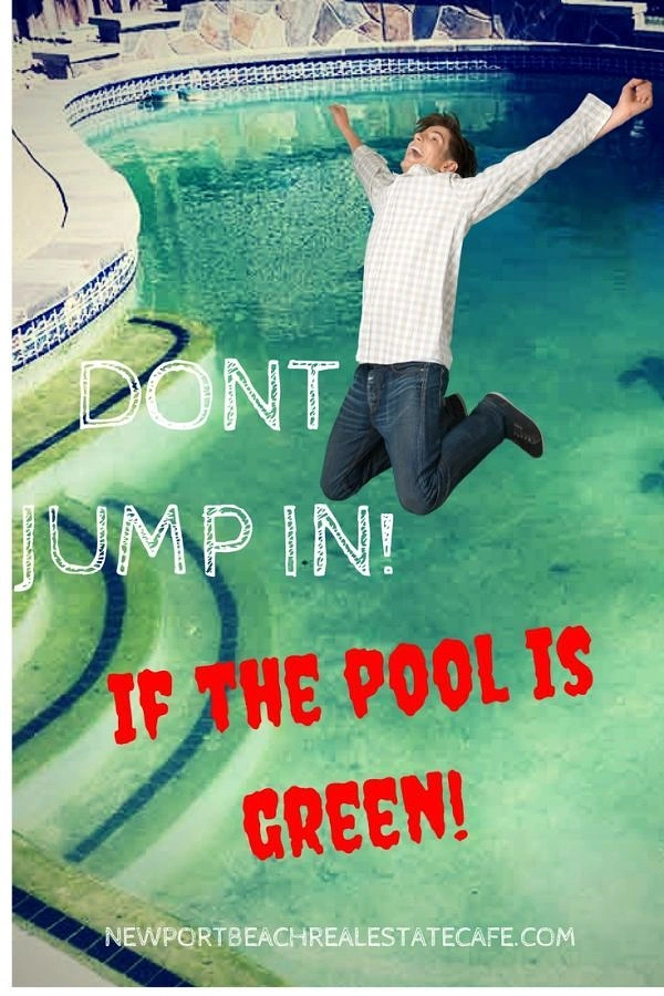 Swimming Pools & Pool Care creative ad: Green-pool jumping warning creates visual punchline