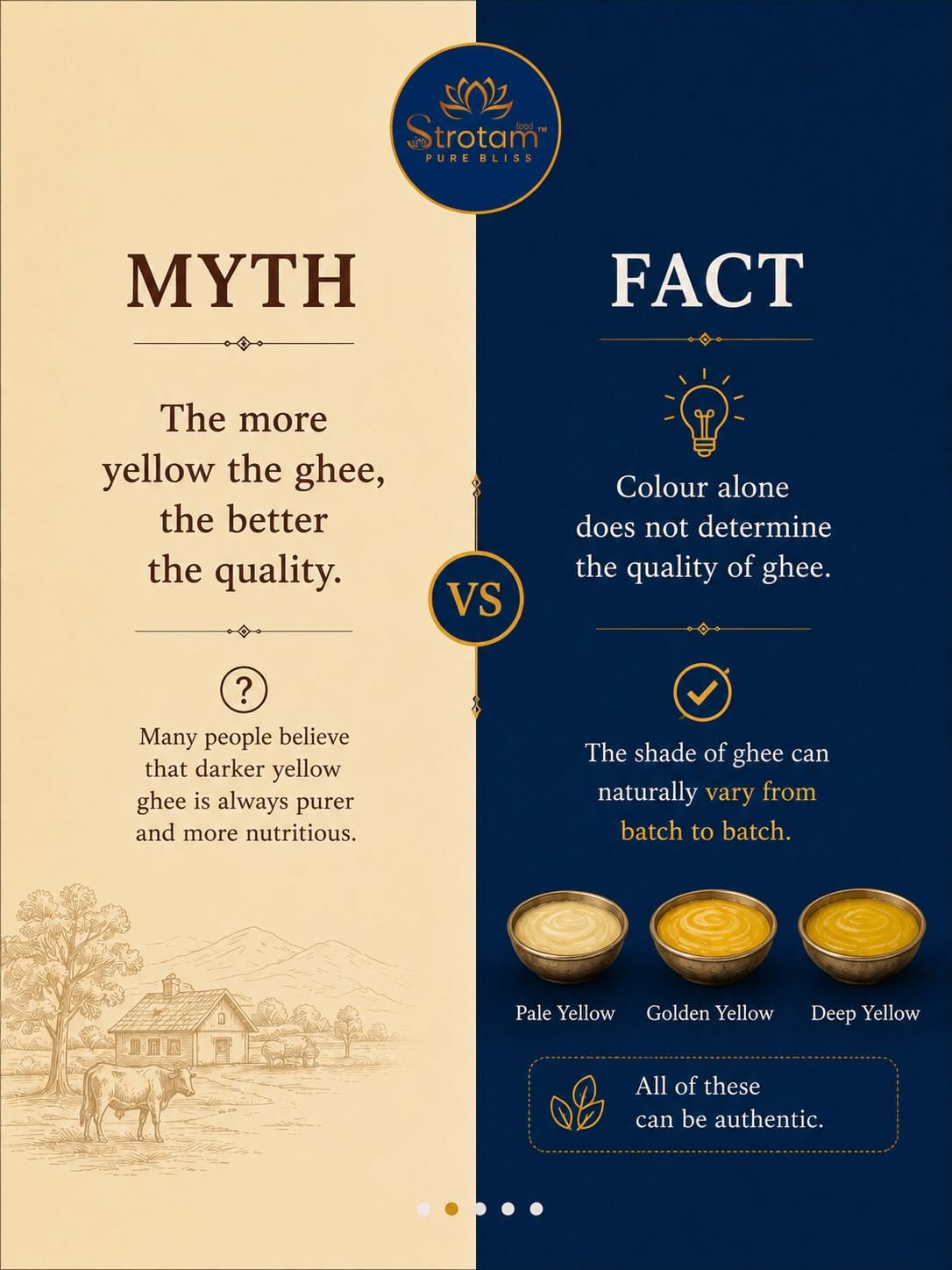 Instagram post: Myth vs fact split carousel, slide 2