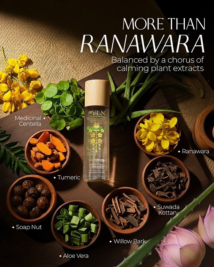 Creative ad: Cleanser bottle surrounded by bowls of botanical ingredients