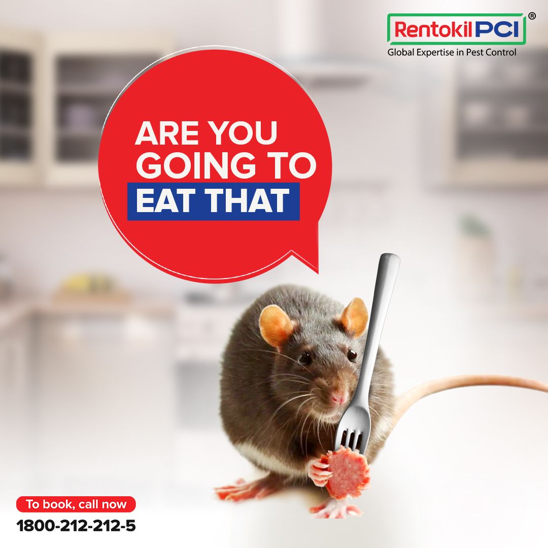 Instagram post: Rat with fork, 'going to eat that'