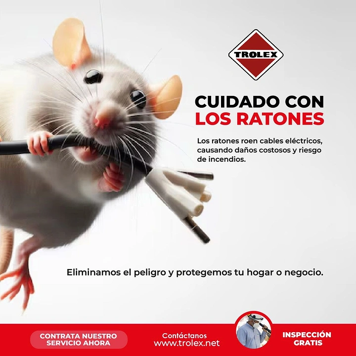 Pest Control creative ad: Rat biting electric cable, clear threat