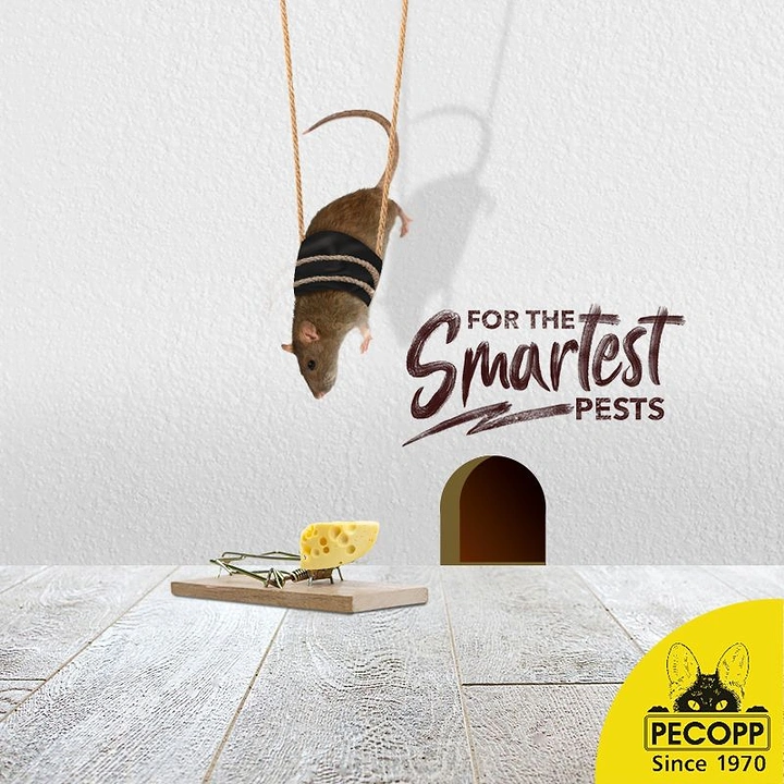 Pest Control creative ad: Heist-style rat rappelling on ropes toward a cheese mousetrap