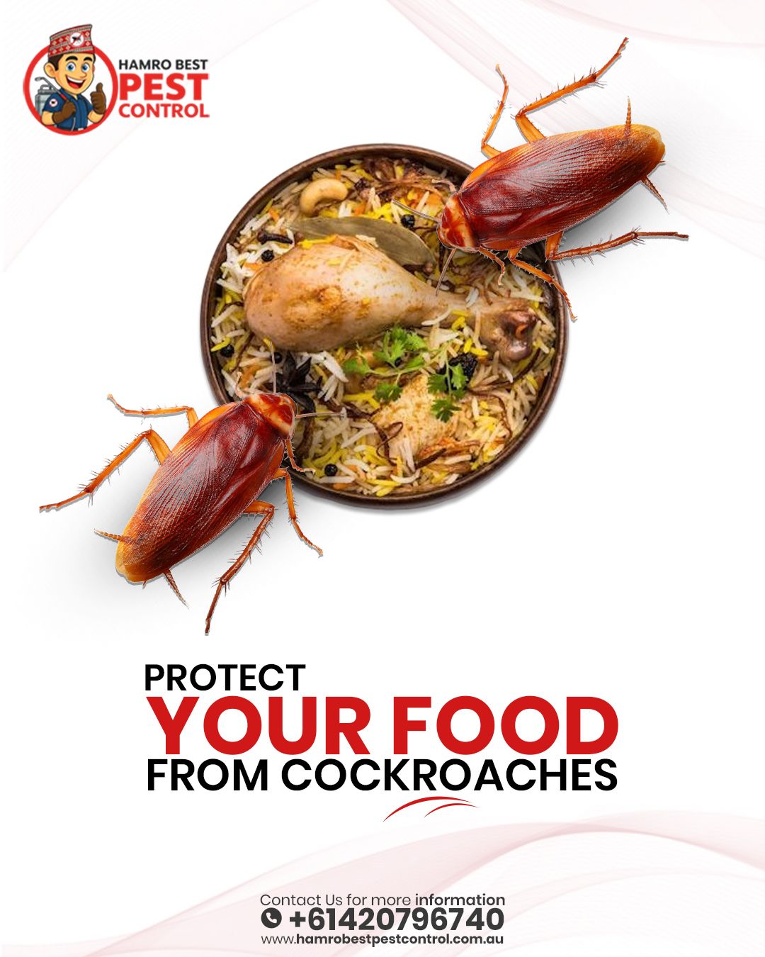 Instagram post: Cockroaches invading biryani bowl