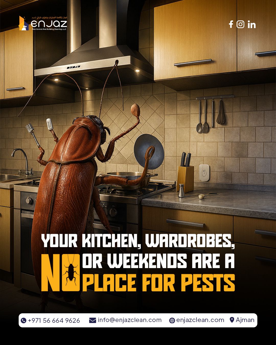 Instagram post: Giant cockroach cooking in kitchen
