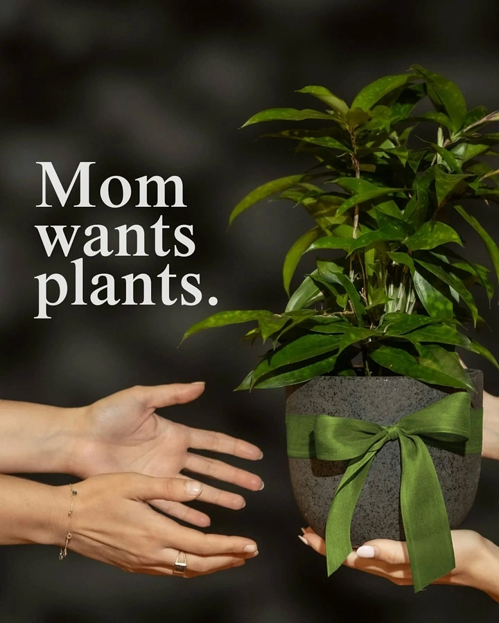 Mother's Day creative ad: Hands passing a leafy potted plant tied with a green ribbon to outstretched hands