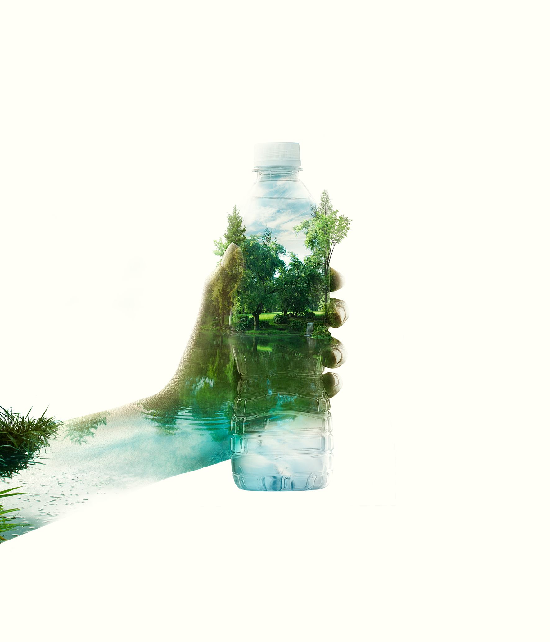 Instagram post: Bottle transforms into lush ecosystem