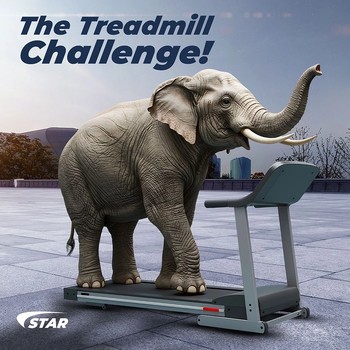 Fitness Equipment Stores creative ad: Elephant turns treadmill challenge absurd