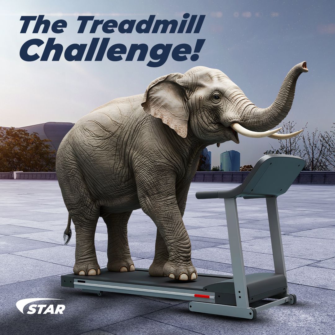 Instagram post: Elephant turns treadmill challenge absurd