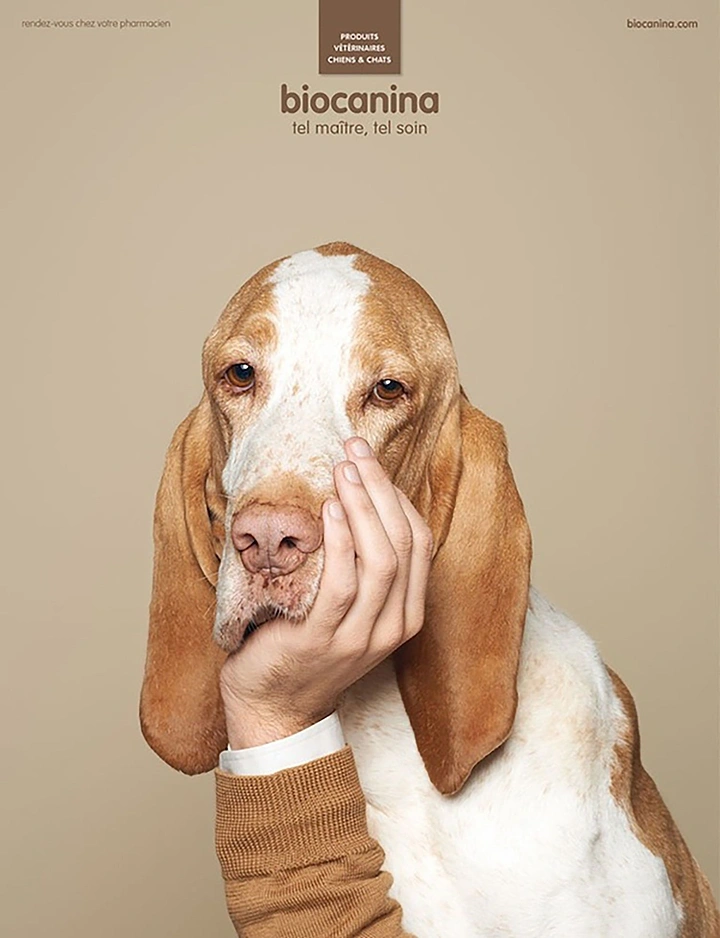 Pets creative ad: Basset hound resting its chin on a human hand as if it were its own