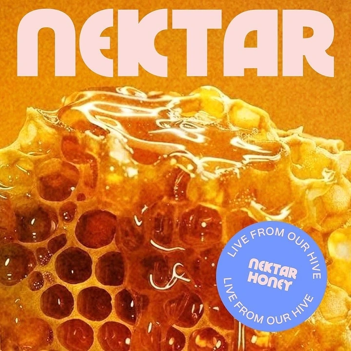 Honey Brands creative ad: Nectar typography integrated with honeycomb
