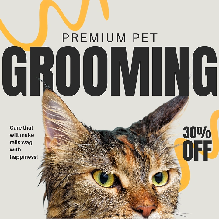 Pet Grooming creative ad: Cat peeking over bold headline type