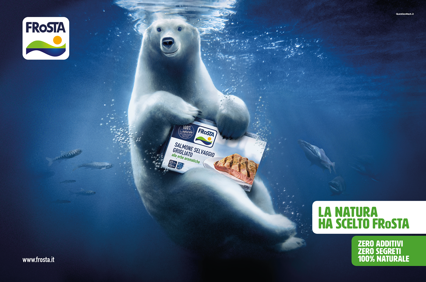 Banner: Polar bear swimming underwater hugging a frozen grilled salmon pack