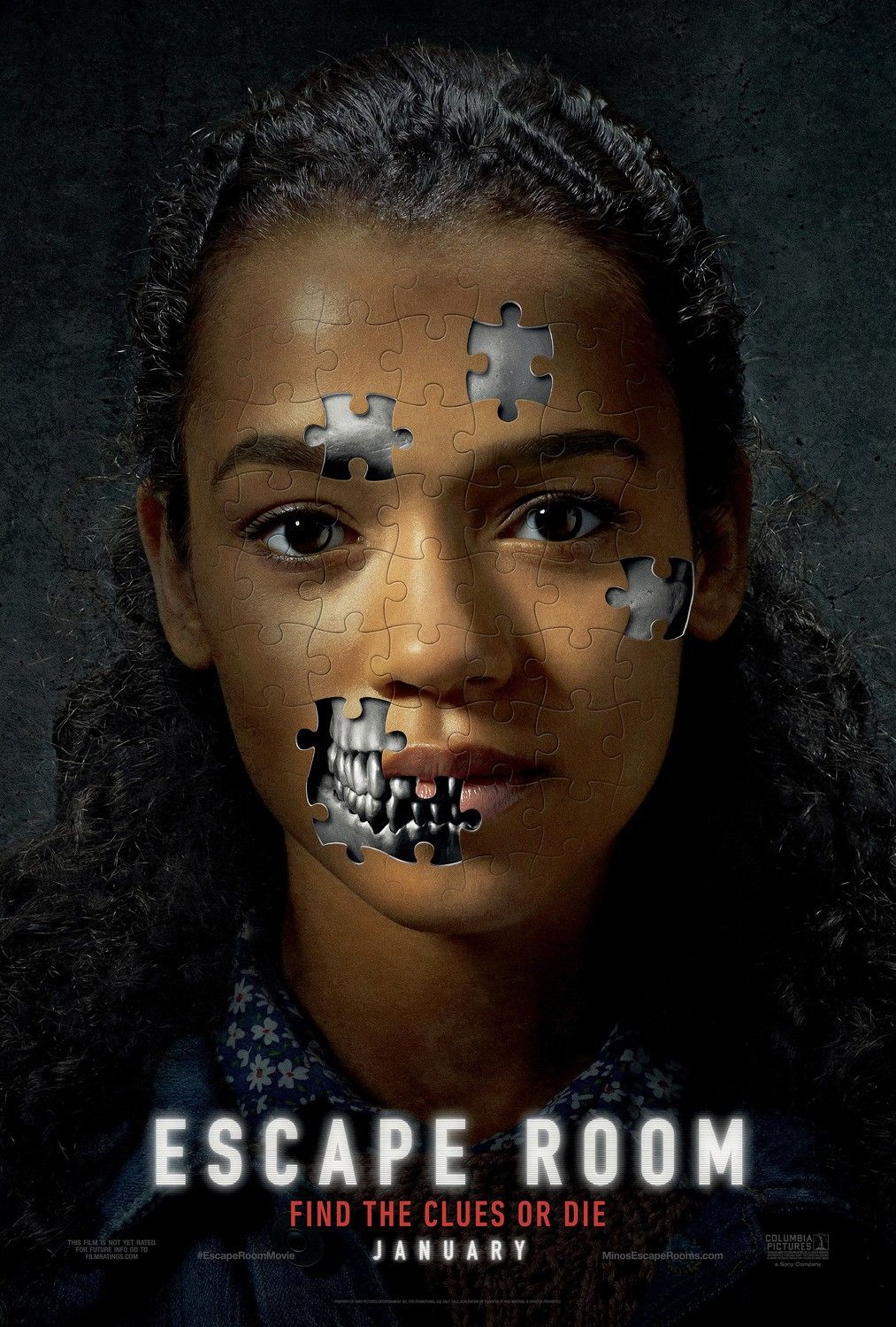 Story: Portrait covered in puzzle-piece clues