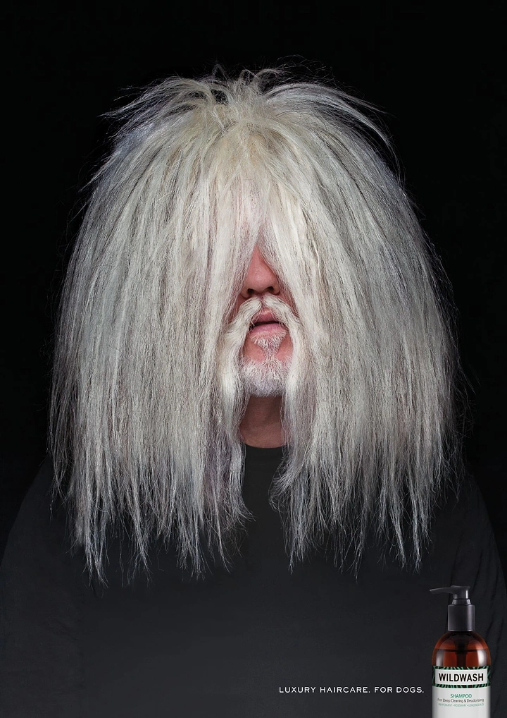 Pet Grooming creative ad: Human with shaggy dog hair: luxury dog haircare