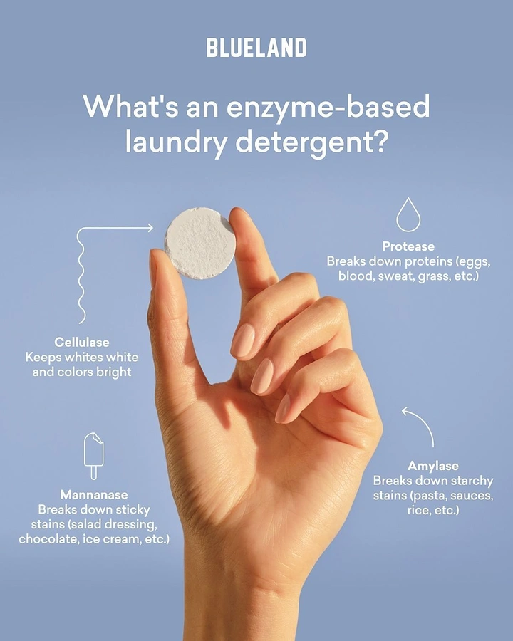 Laundry & Dry Cleaning creative ad: Hand holding tablet, enzyme explainer diagram