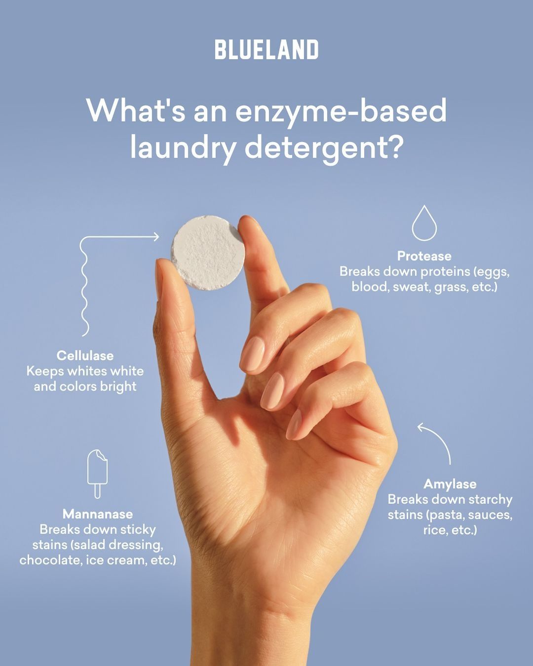Instagram post: Hand holding tablet, enzyme explainer diagram