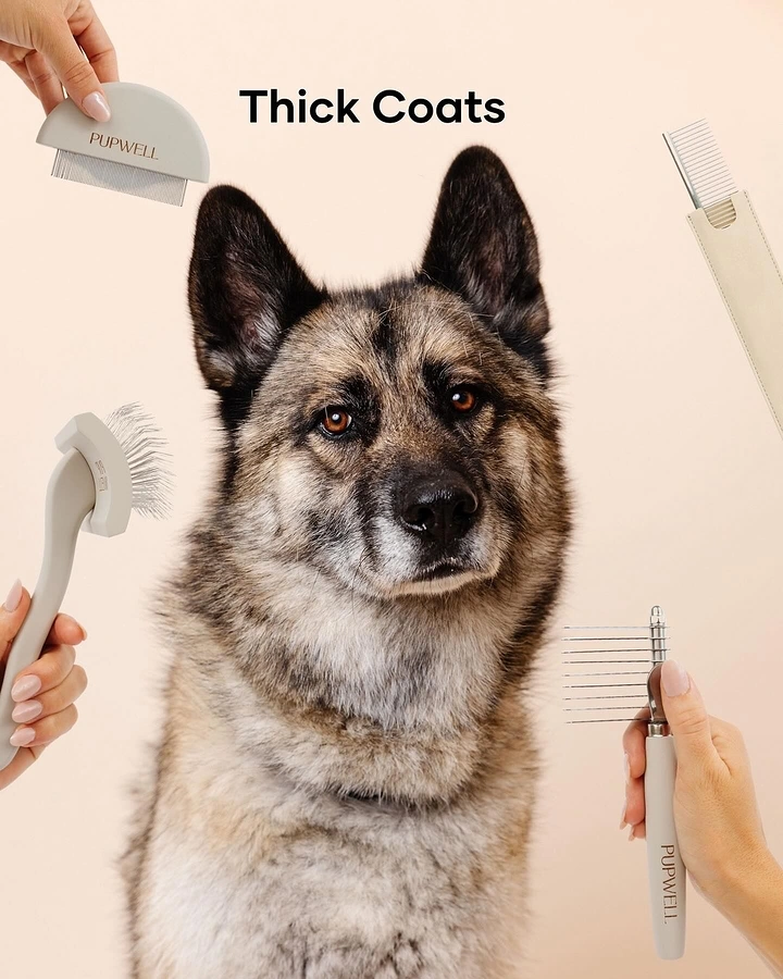 Pet Grooming creative ad: Dog framed by hands holding grooming tools
