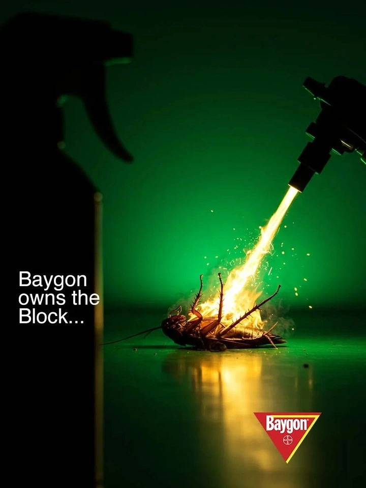 Pest Control creative ad: Spray as flamethrower, 'owns the Block' pun