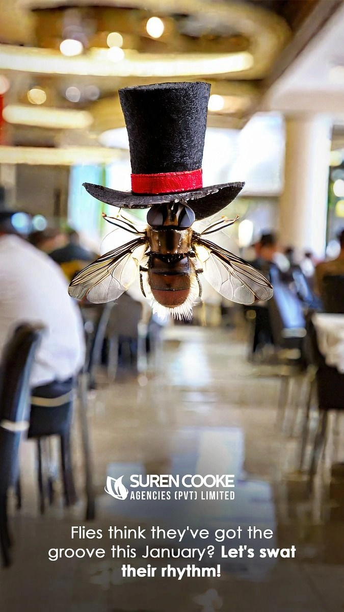 Pest Control creative ad: Top-hatted party fly, 'swat their rhythm' pun