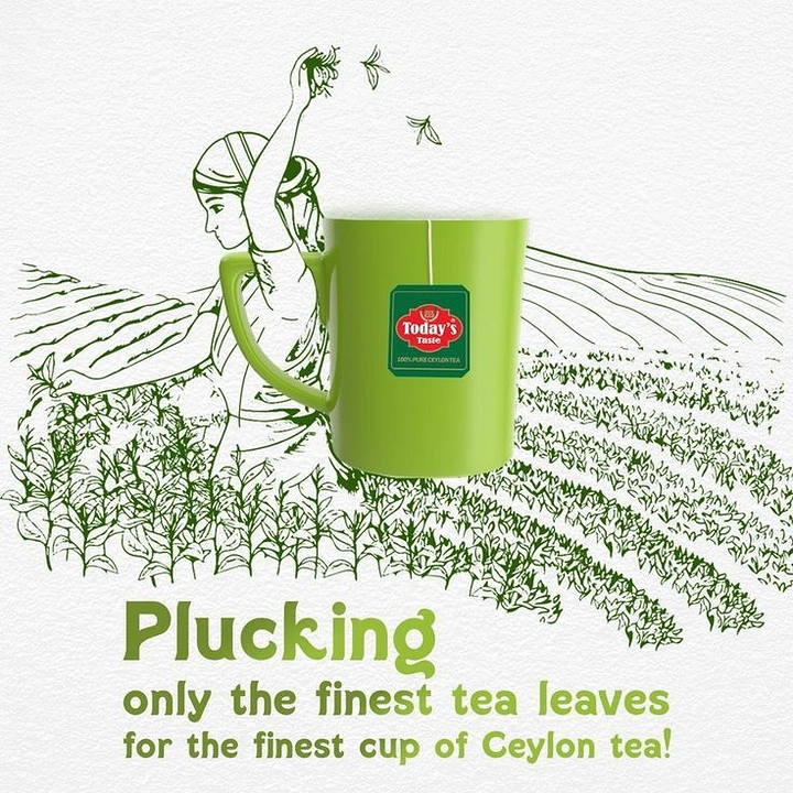 Tea & Chai Brands creative ad: Plantation sketch flowing into real mug