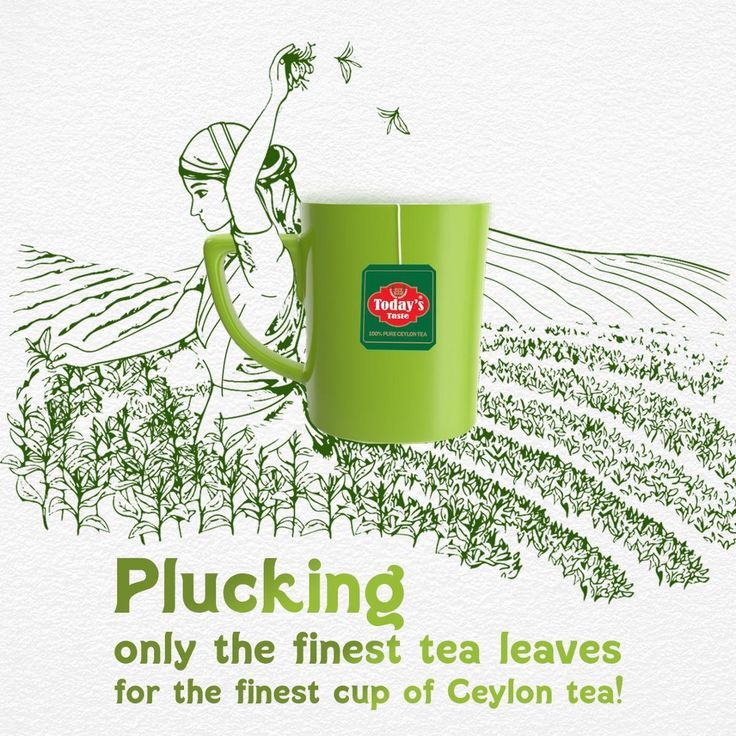 Instagram post: Plantation sketch flowing into real mug