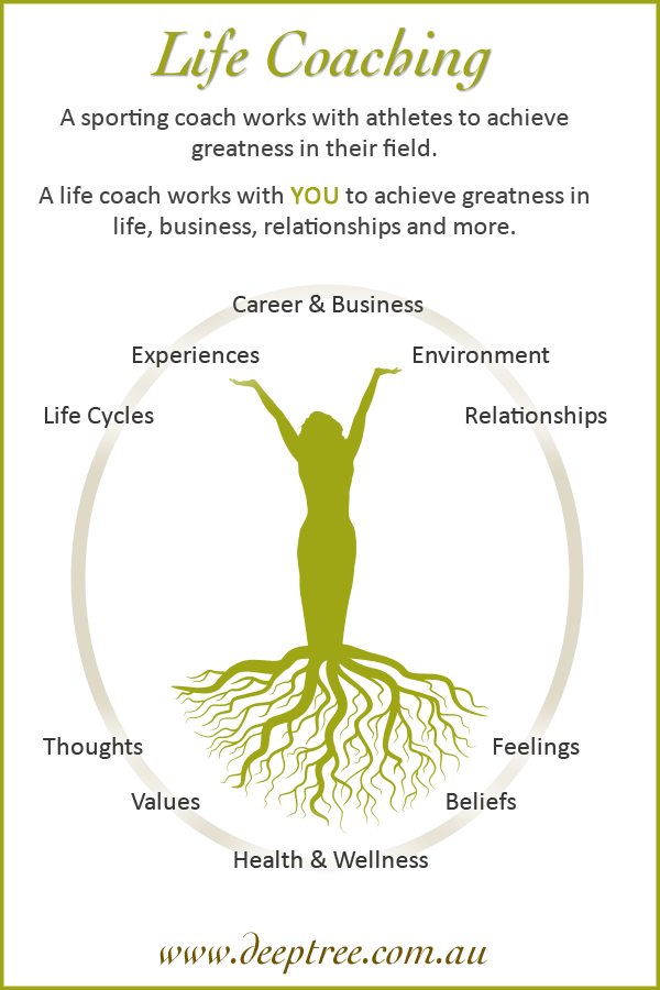 Story: Human tree metaphor maps coaching domains