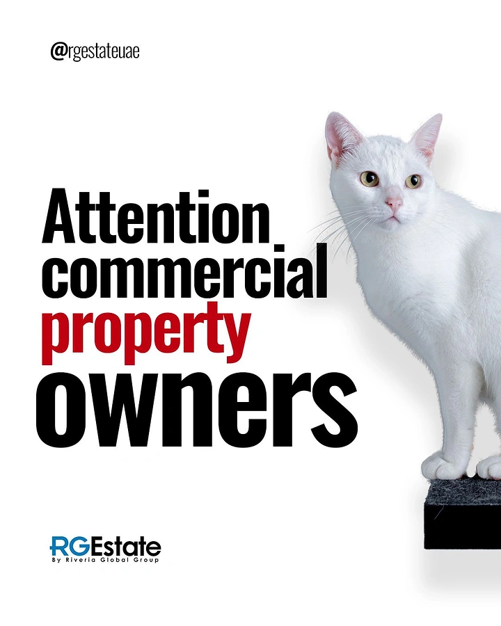 Property Management creative ad: Cat visualizes the attention headline