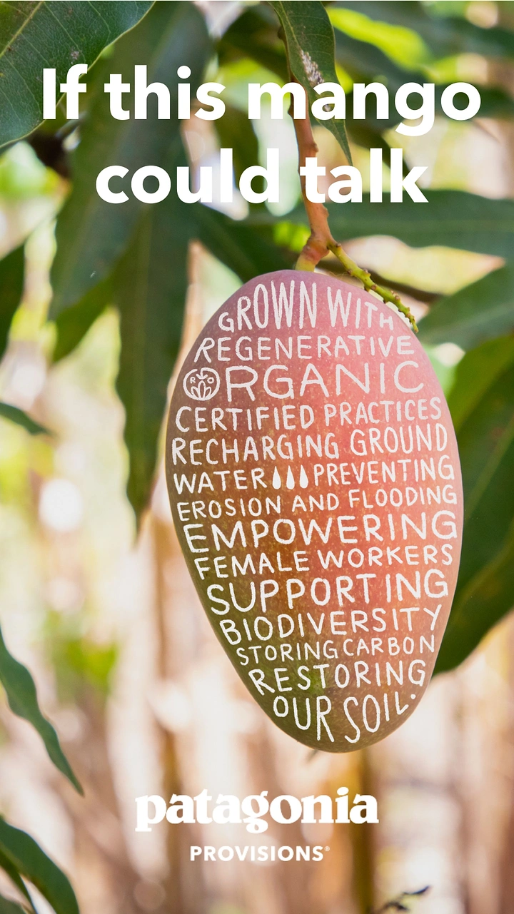 Agriculture, Seeds & Fertilizers creative ad: A mango hanging on a tree, covered in hand-lettered sustainability claims