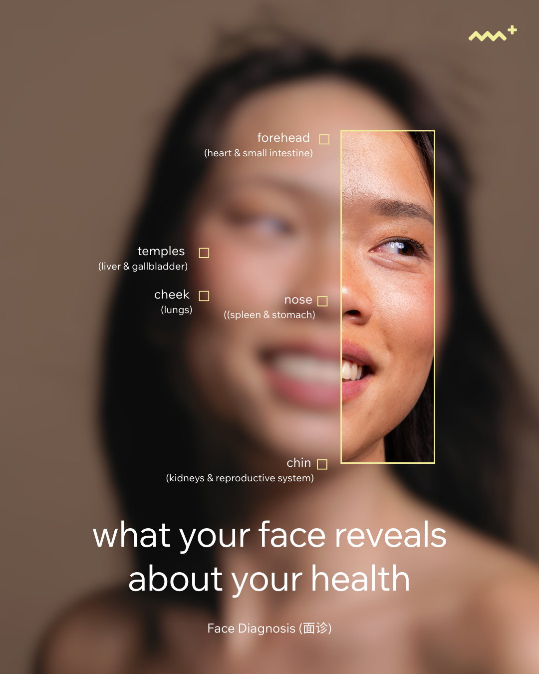 Instagram post: Face-map diagnosis with sharp focus split