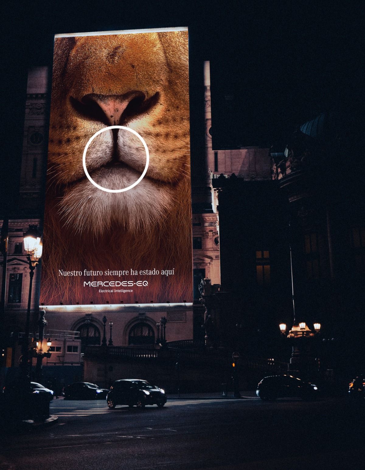 Carousel: Extreme close-up of lion muzzle framed by white circle, slide 2