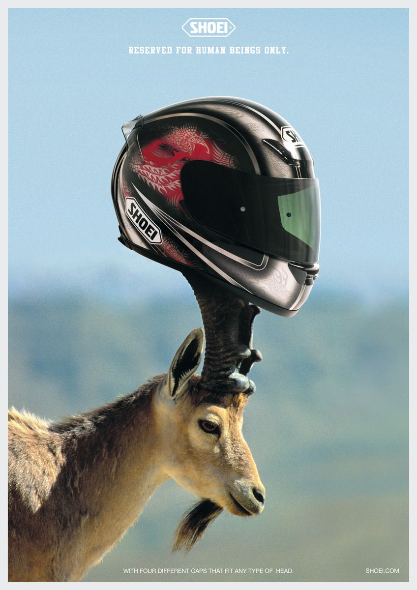 Poster: Full-face motorcycle helmet perched on a wild goat's horns