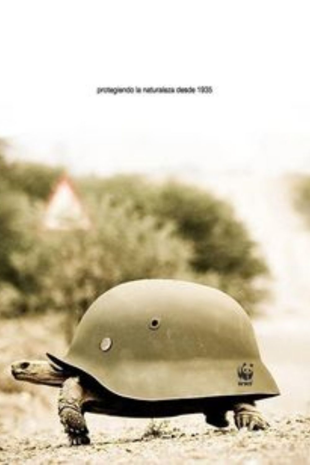 Story: Tortoise visualizes protective helmet durability